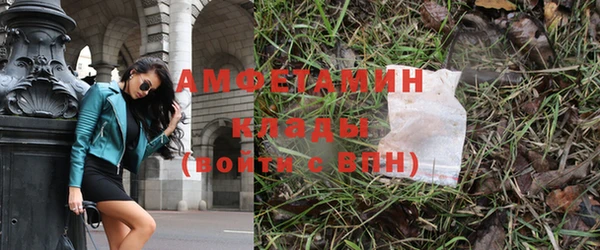 ГАЛЛЮЦИНОГЕННЫЕ ГРИБЫ Аркадак