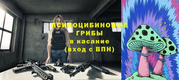 ГАЛЛЮЦИНОГЕННЫЕ ГРИБЫ Аркадак